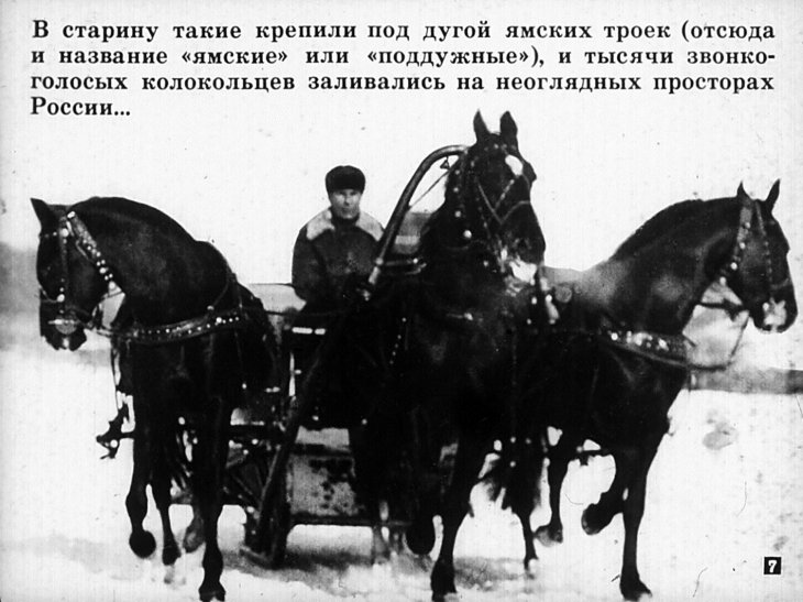 Кадр 7 диафильма «Удивительный мир коллекций»