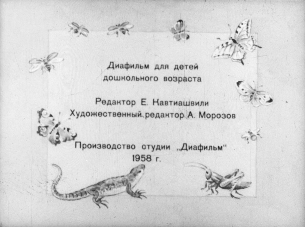 Кадр 2 диафильма «Первая охота»