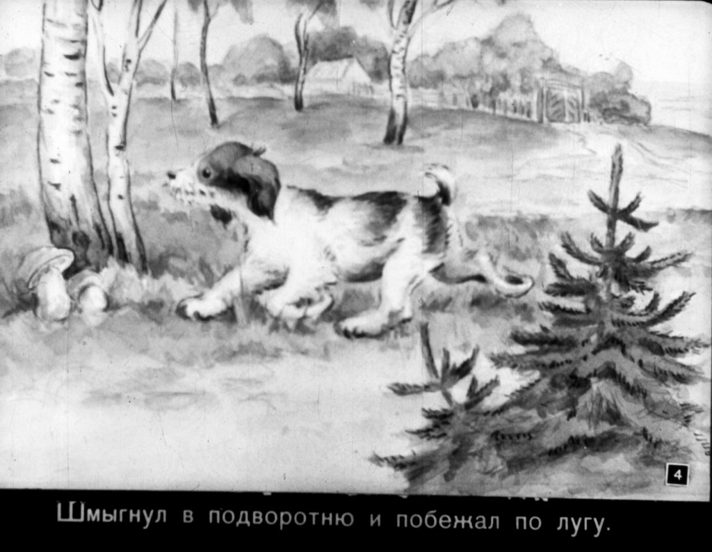 Кадр 4 диафильма «Первая охота»