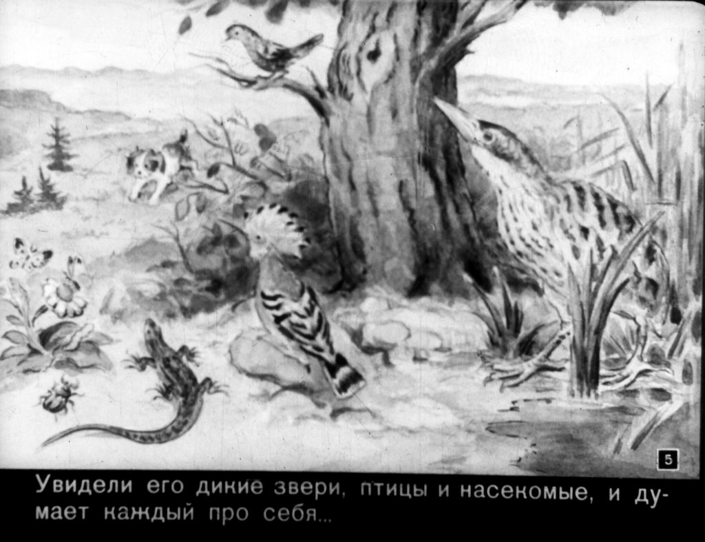 Кадр 5 диафильма «Первая охота»