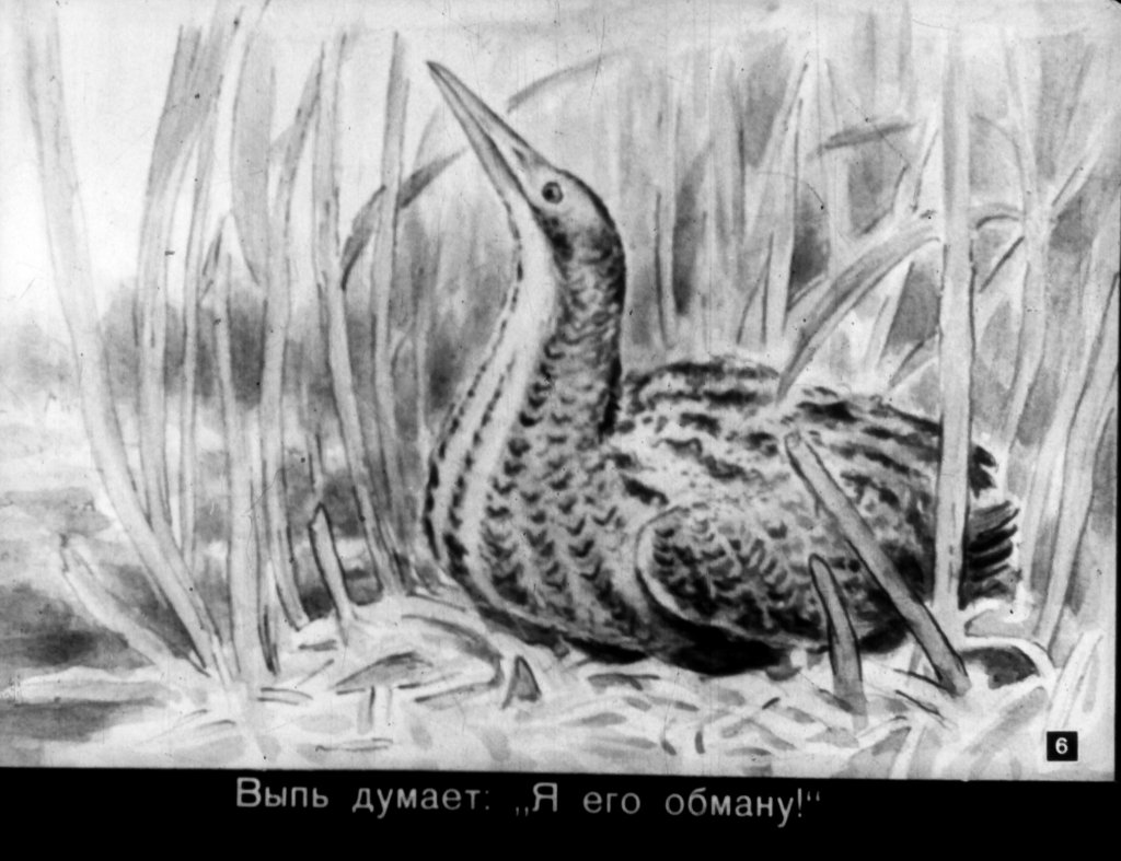 Кадр 6 диафильма «Первая охота»
