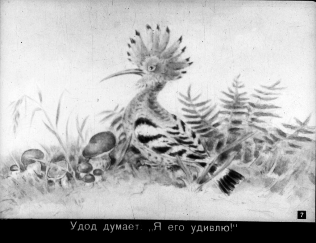 Кадр 7 диафильма «Первая охота»
