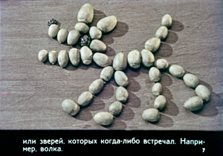 Кадр 7 диафильма «Добрая память»