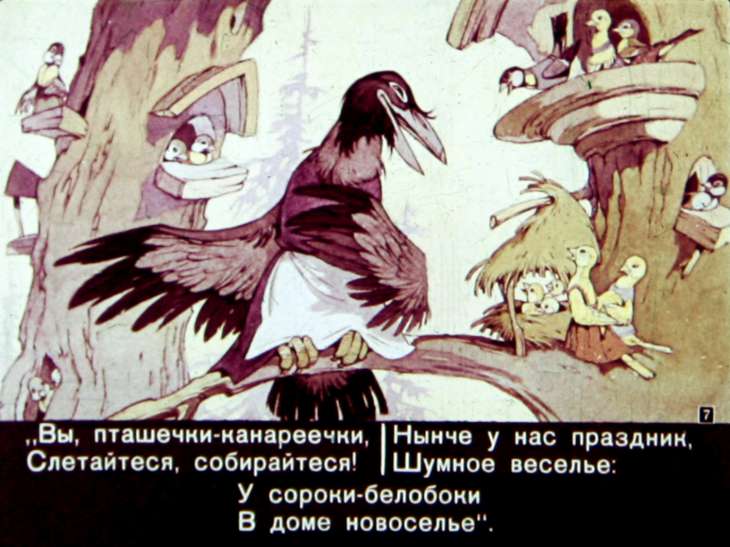 Кадр 7 диафильма «Сорока - белобока»