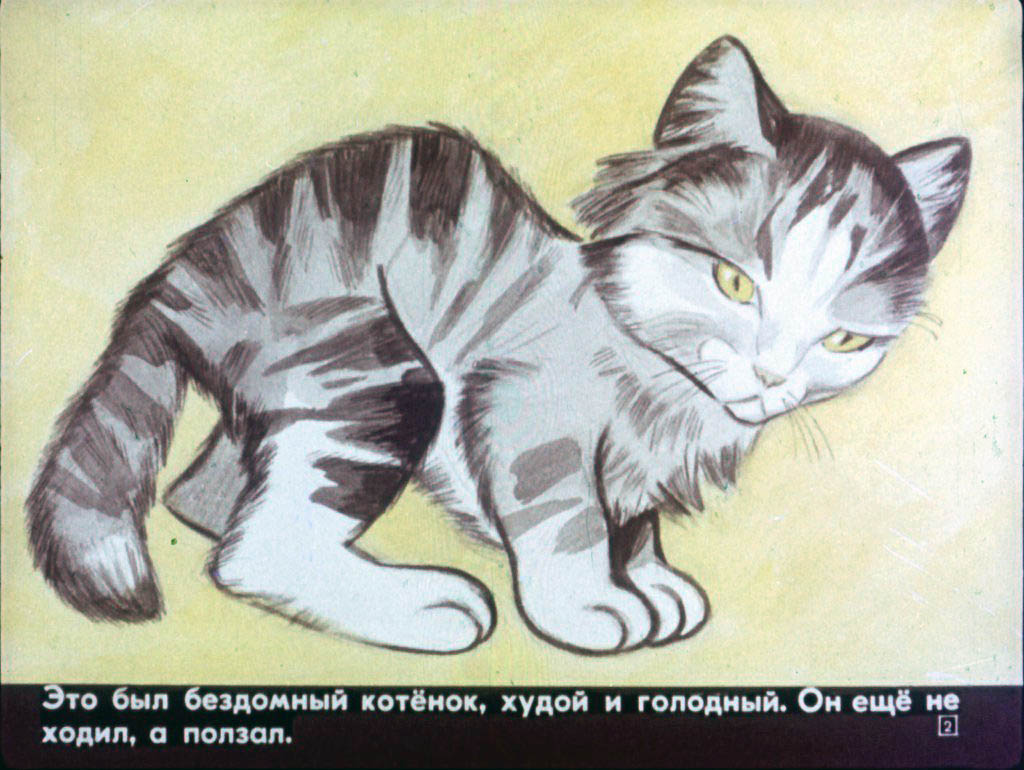 Кадр 2 диафильма «Котята»
