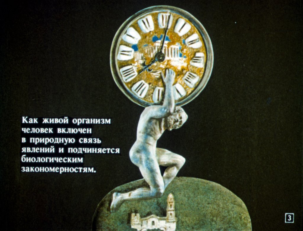 Кадр 3 диафильма «Общество и природа»