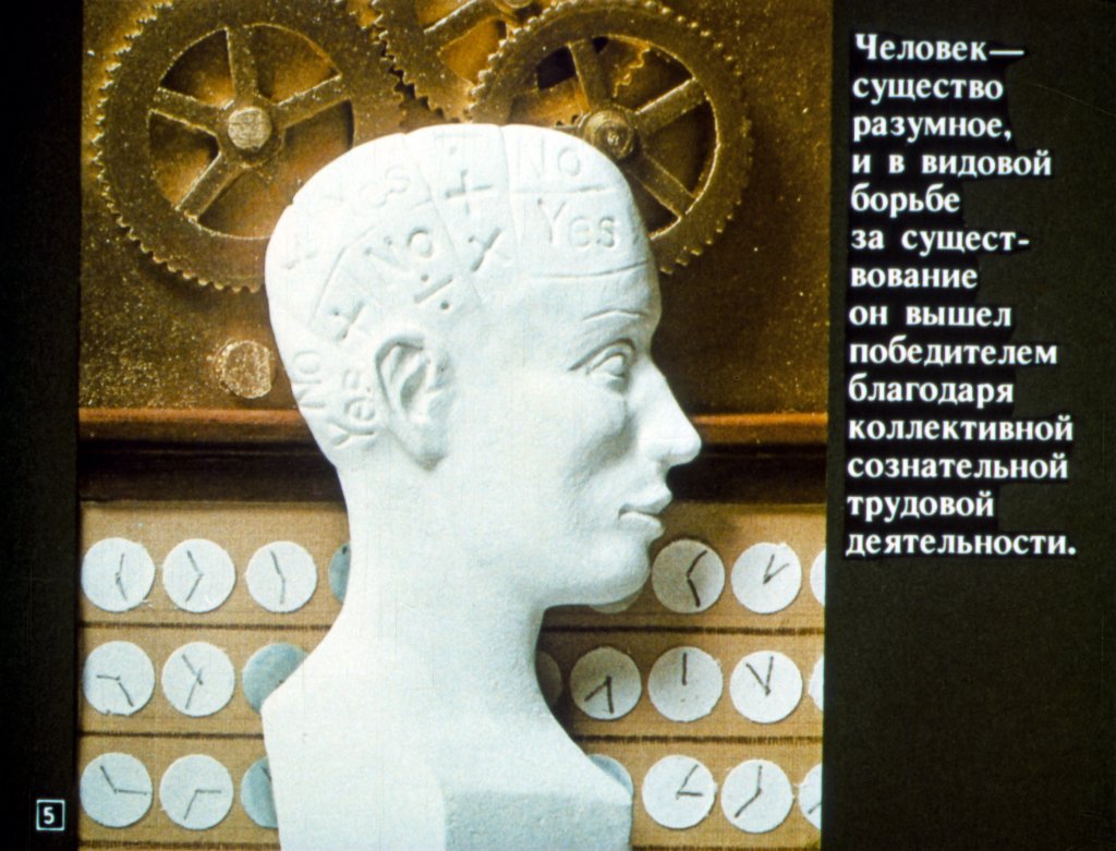 Кадр 5 диафильма «Общество и природа»