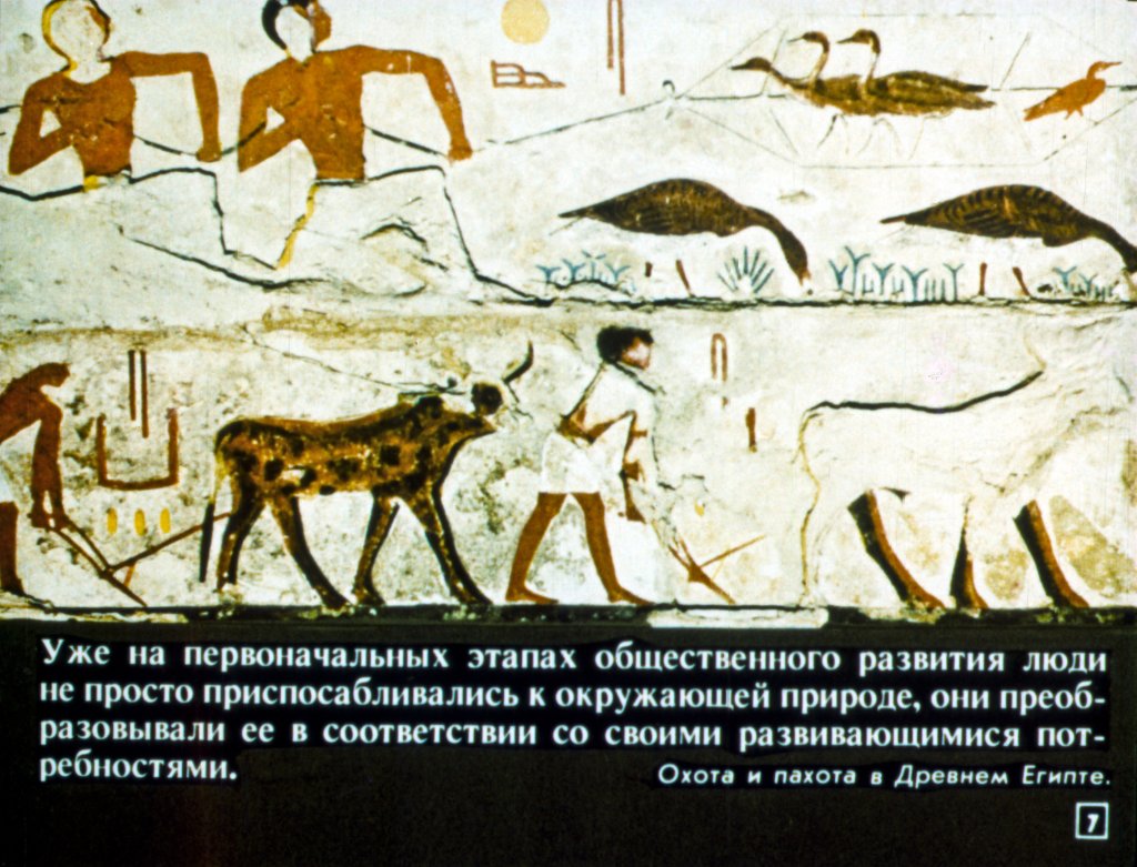 Кадр 7 диафильма «Общество и природа»