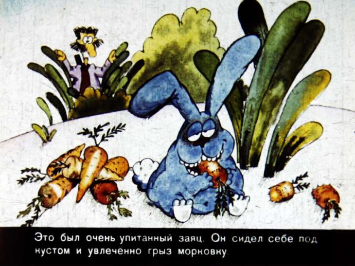 Кадр 4 диафильма «Охота на зайца»