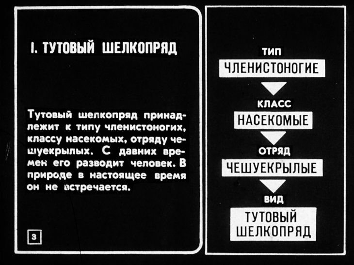 Кадр 3 диафильма «Тутовый шелкопряд. Шелководство»