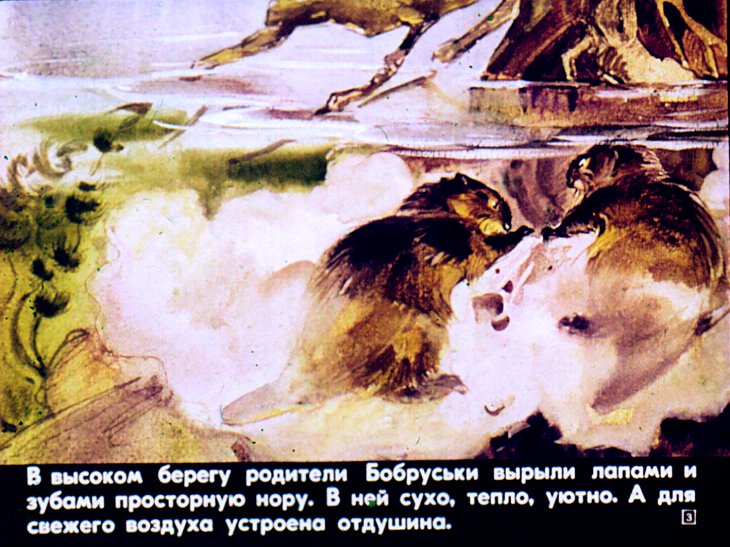 Кадр 3 диафильма «Бобруська»