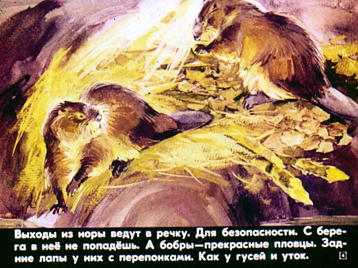 Кадр 4 диафильма «Бобруська»