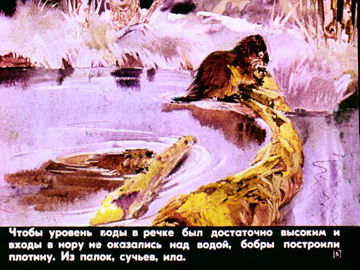 Кадр 5 диафильма «Бобруська»