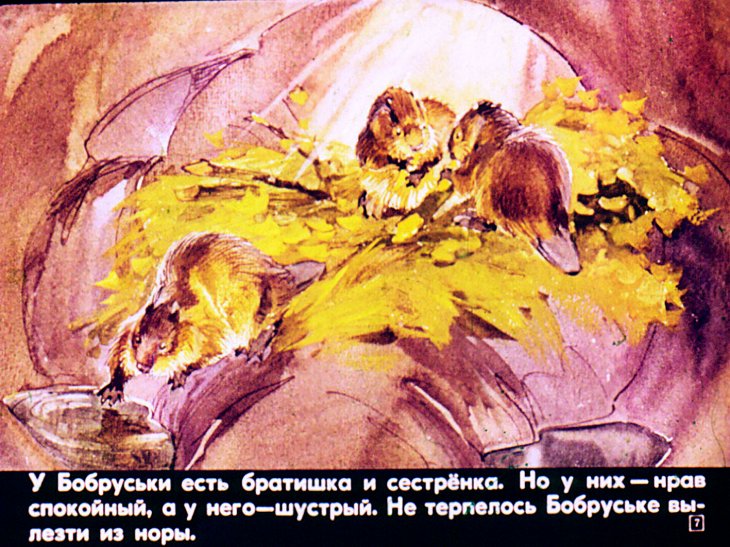 Кадр 7 диафильма «Бобруська»