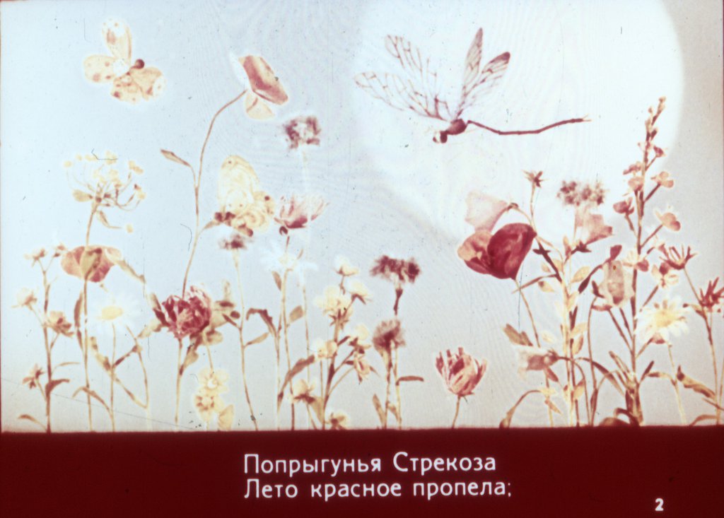 Кадр 2 диафильма «Стрекоза и муравей»