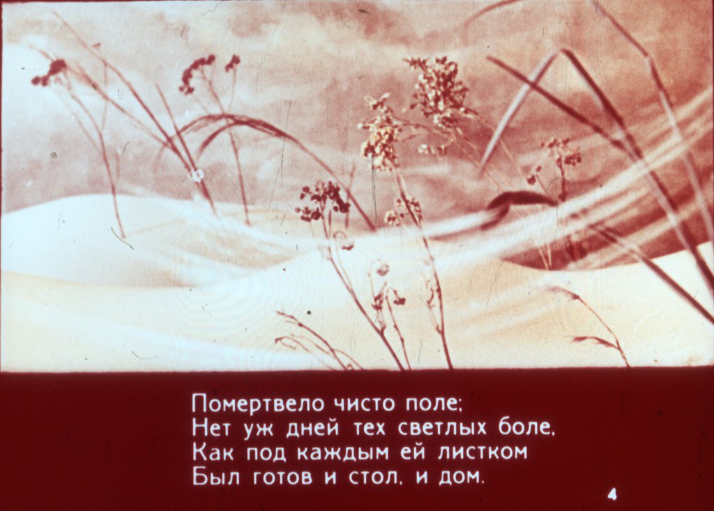 Кадр 4 диафильма «Стрекоза и муравей»