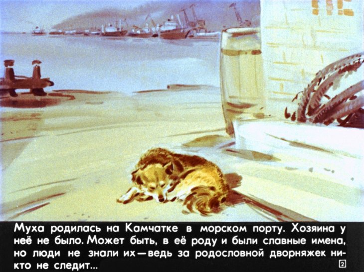 Кадр 2 диафильма «Муха»
