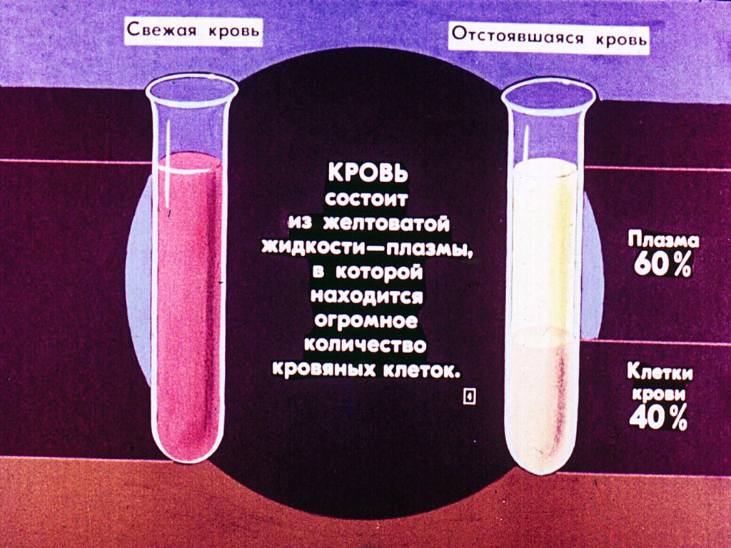 Кадр 4 диафильма «Строение и функции крови»