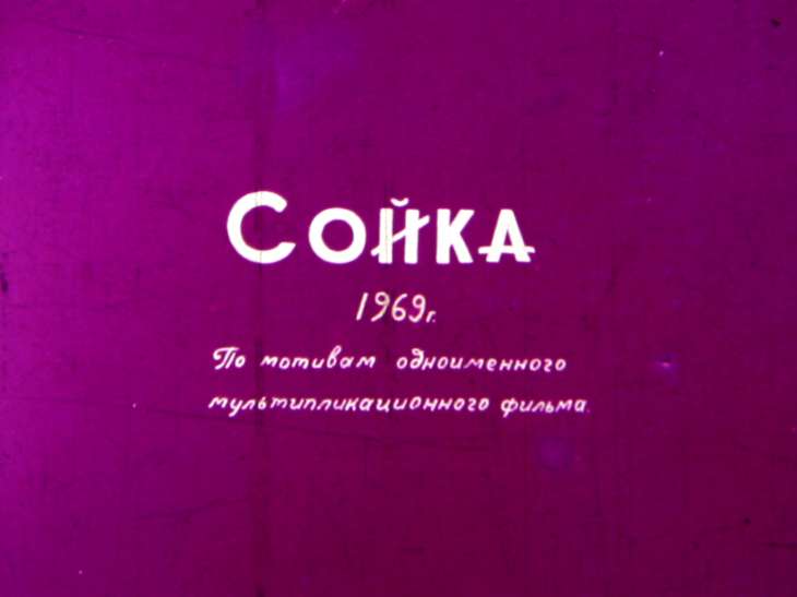 Кадр 1 диафильма «Сойка»
