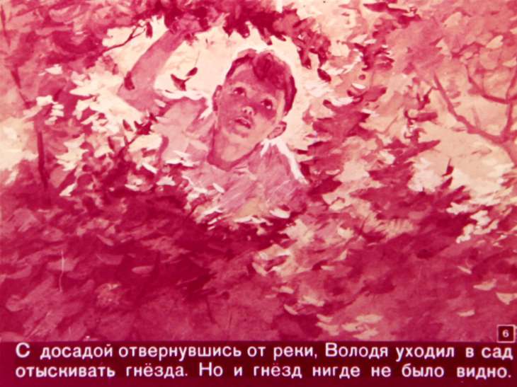 Кадр 6 диафильма «Каникулы»