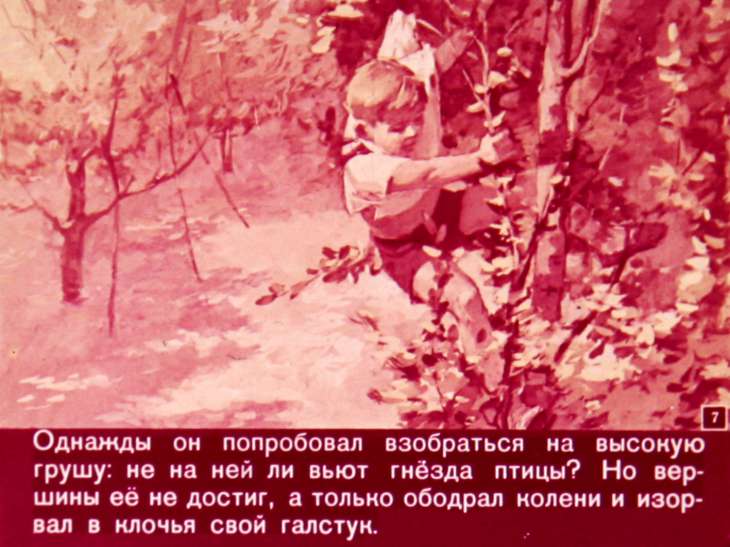 Кадр 7 диафильма «Каникулы»