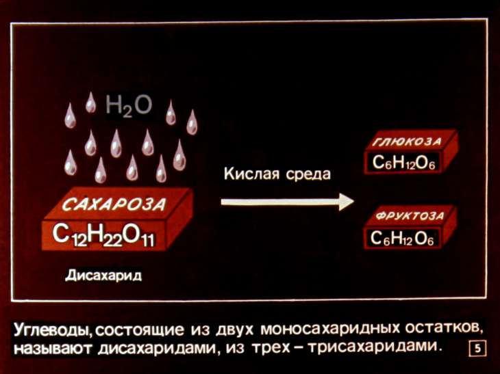 Кадр 5 диафильма «Углеводы»