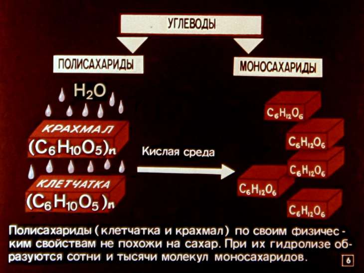 Кадр 6 диафильма «Углеводы»
