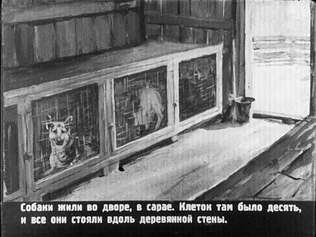 Кадр 3 диафильма «Ниагара»