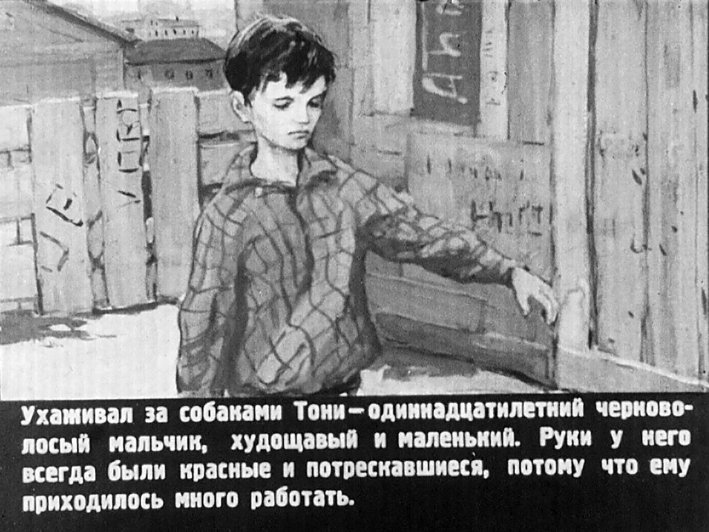 Кадр 4 диафильма «Ниагара»