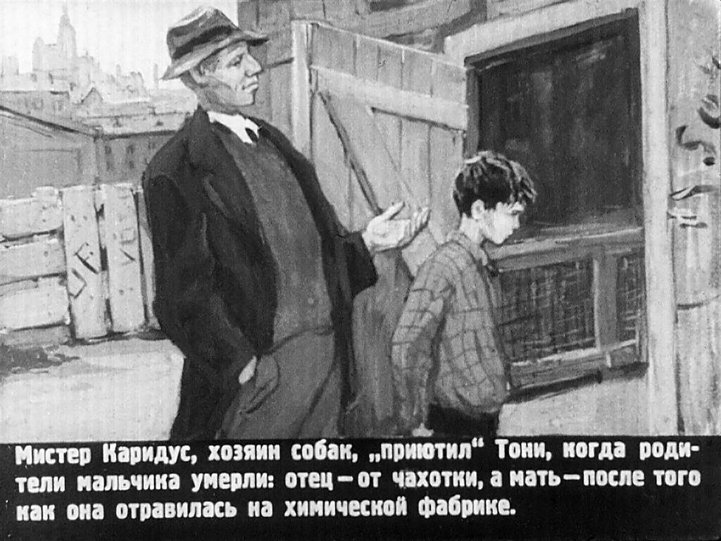 Кадр 5 диафильма «Ниагара»