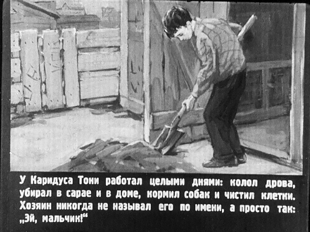 Кадр 6 диафильма «Ниагара»