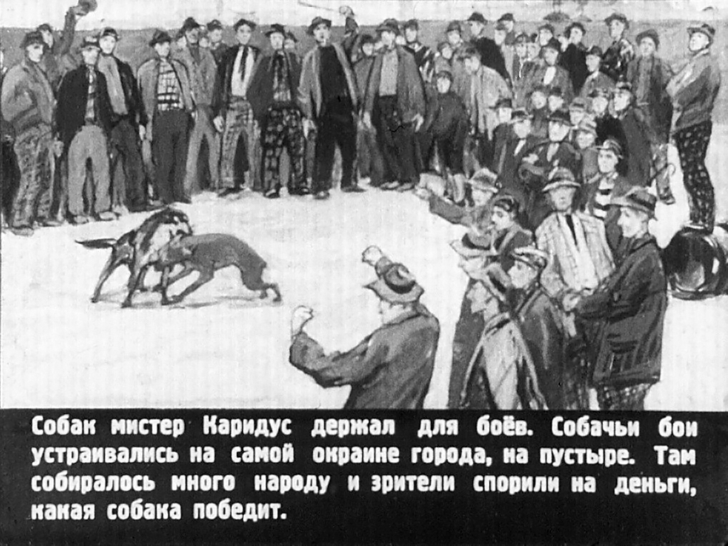 Кадр 7 диафильма «Ниагара»