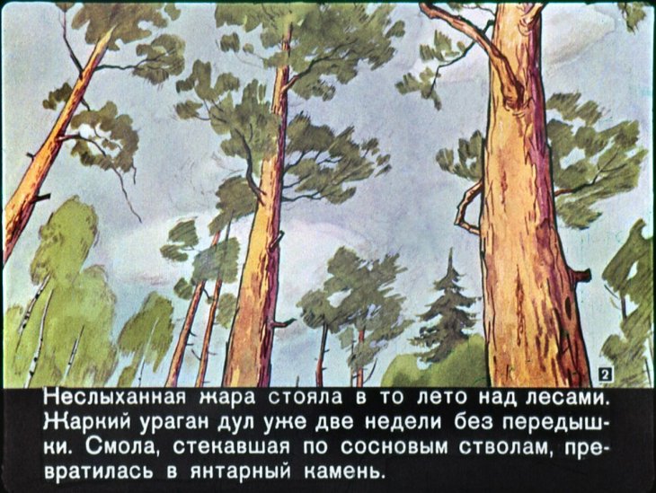 Кадр 2 диафильма «Заячьи лапы»