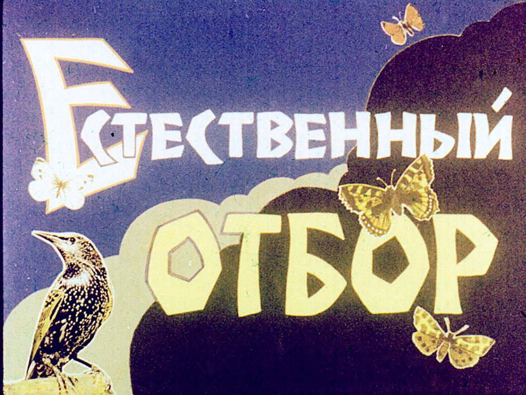 Кадр 1 диафильма «Естественный отбор»