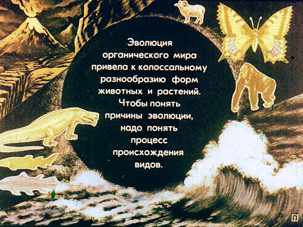 Кадр 2 диафильма «Естественный отбор»