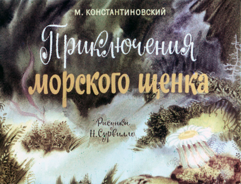 Кадр 1 диафильма «Приключения морского щенка»