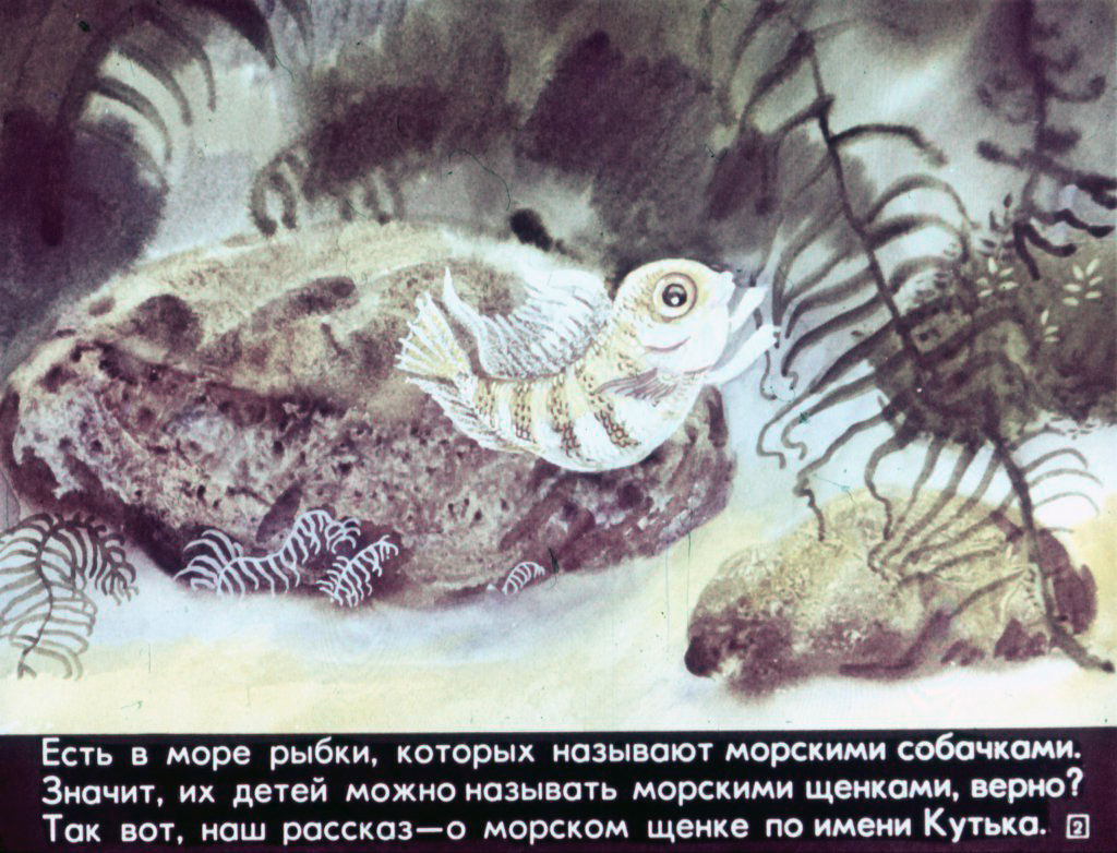 Кадр 2 диафильма «Приключения морского щенка»