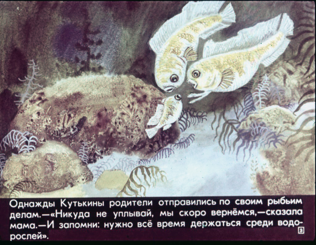 Кадр 3 диафильма «Приключения морского щенка»