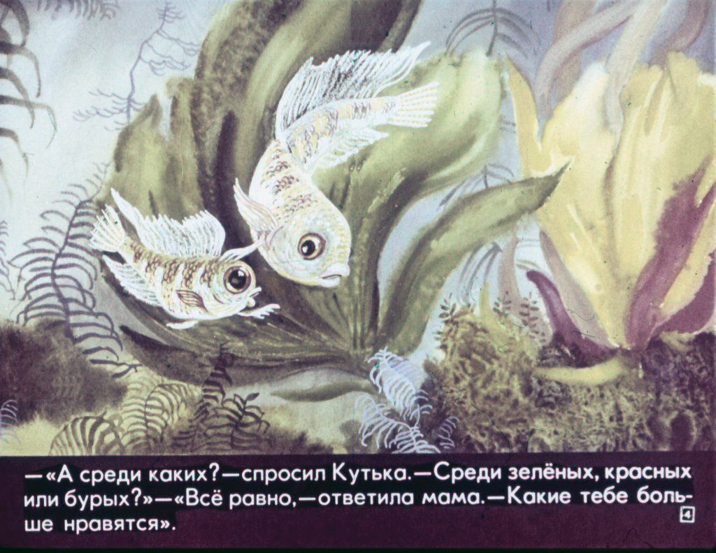 Кадр 4 диафильма «Приключения морского щенка»