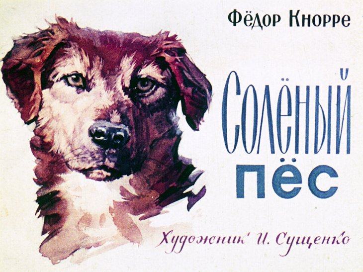 Кадр 1 диафильма «Соленый пес»