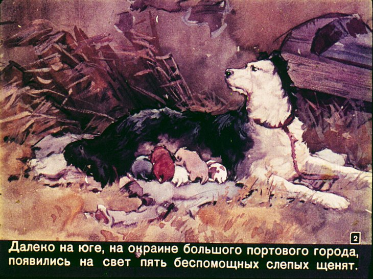 Кадр 2 диафильма «Соленый пес»