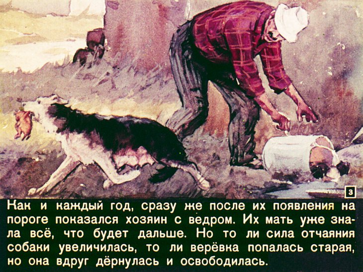 Кадр 3 диафильма «Соленый пес»