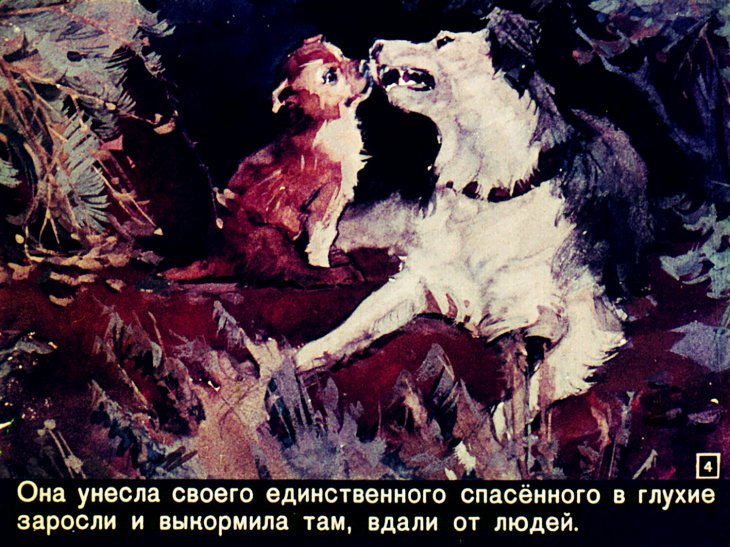 Кадр 4 диафильма «Соленый пес»