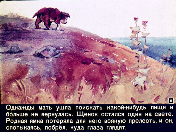 Кадр 5 диафильма «Соленый пес»