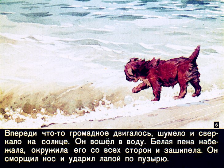 Кадр 6 диафильма «Соленый пес»