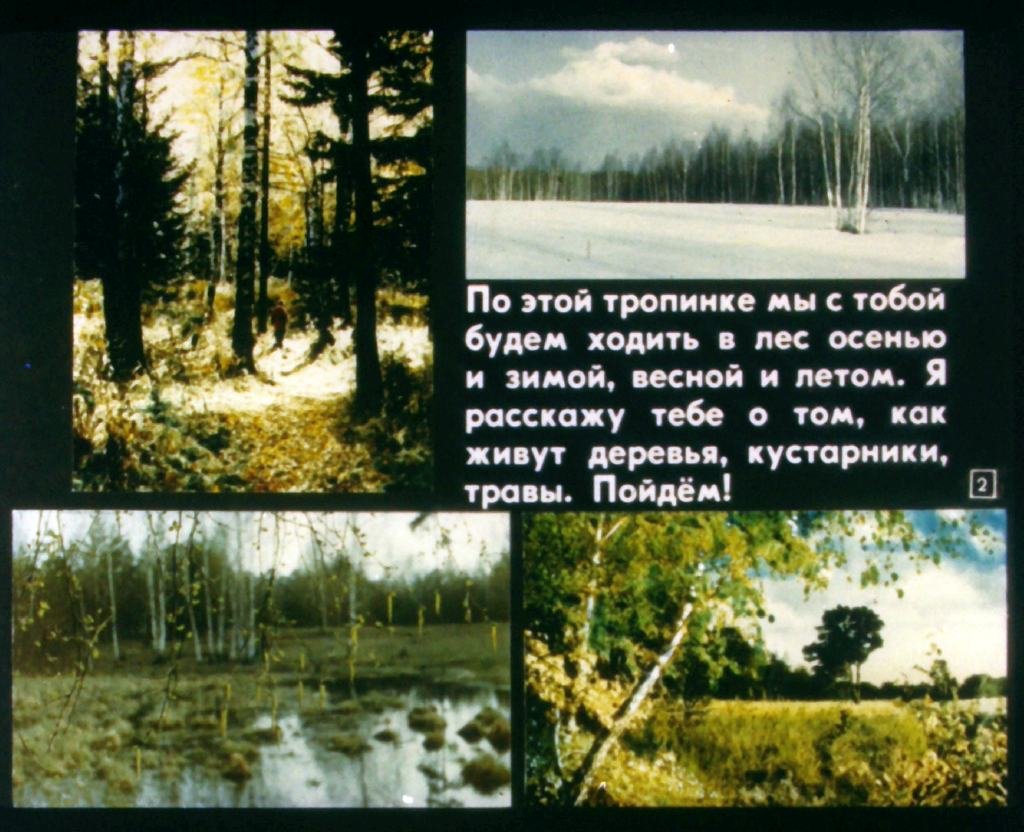 Кадр 2 диафильма «Тропинка»