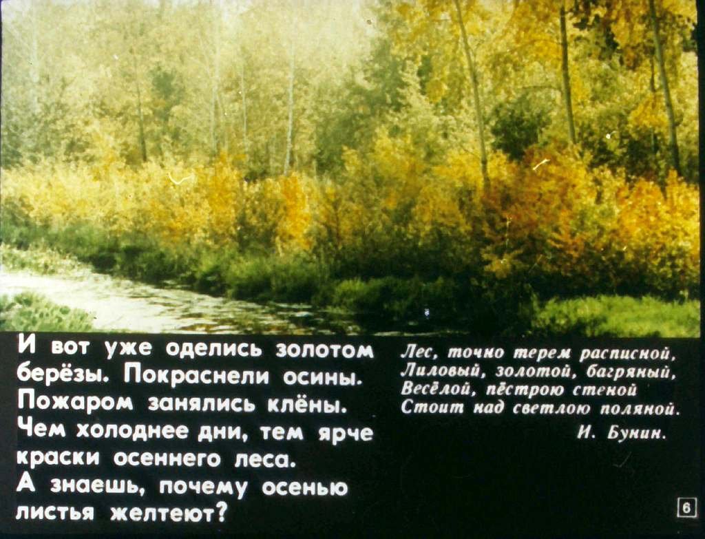 Кадр 6 диафильма «Тропинка»