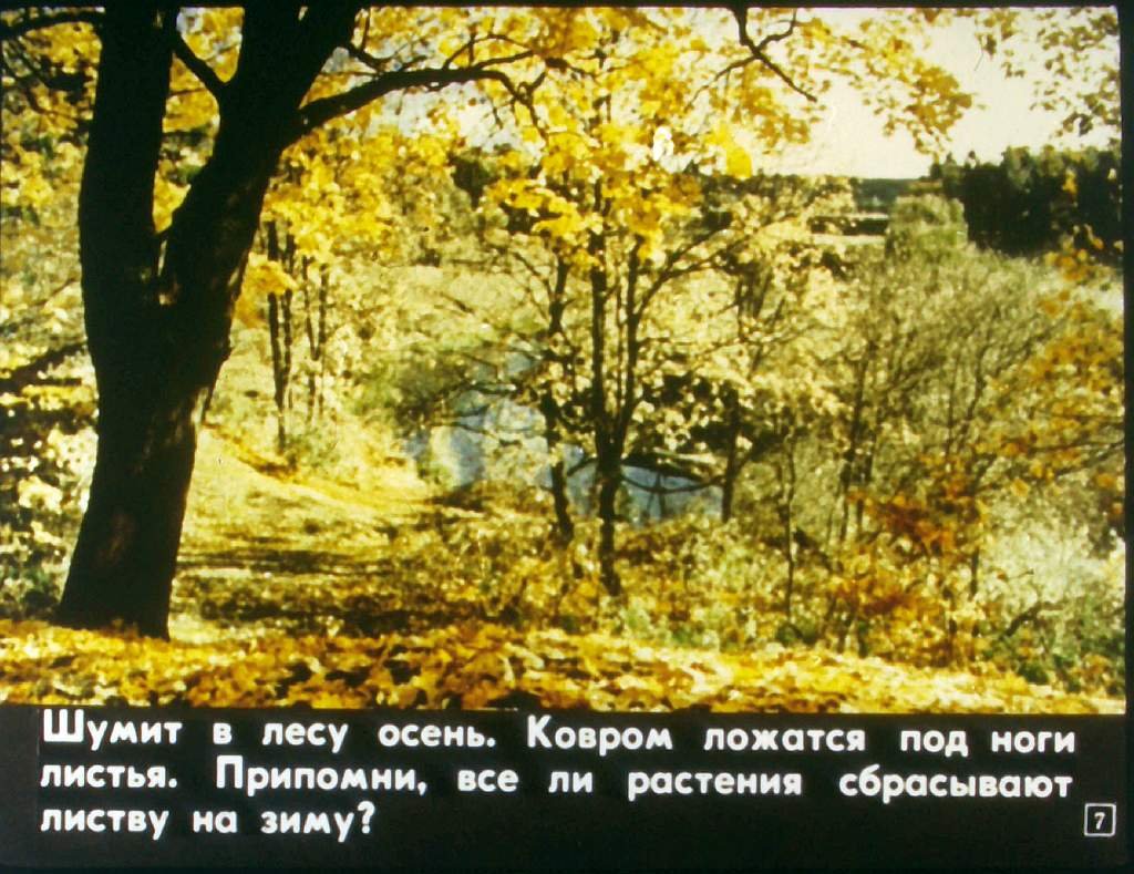Кадр 7 диафильма «Тропинка»