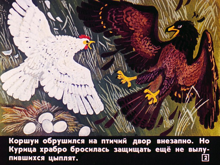 Кадр 2 диафильма «Про цыпленка который думал, что он котенок»