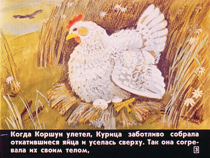 Кадр 3 диафильма «Про цыпленка который думал, что он котенок»